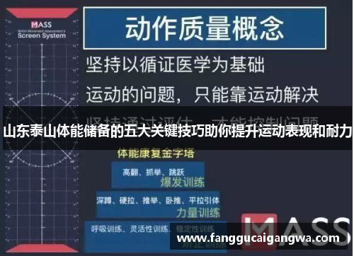 山东泰山体能储备的五大关键技巧助你提升运动表现和耐力